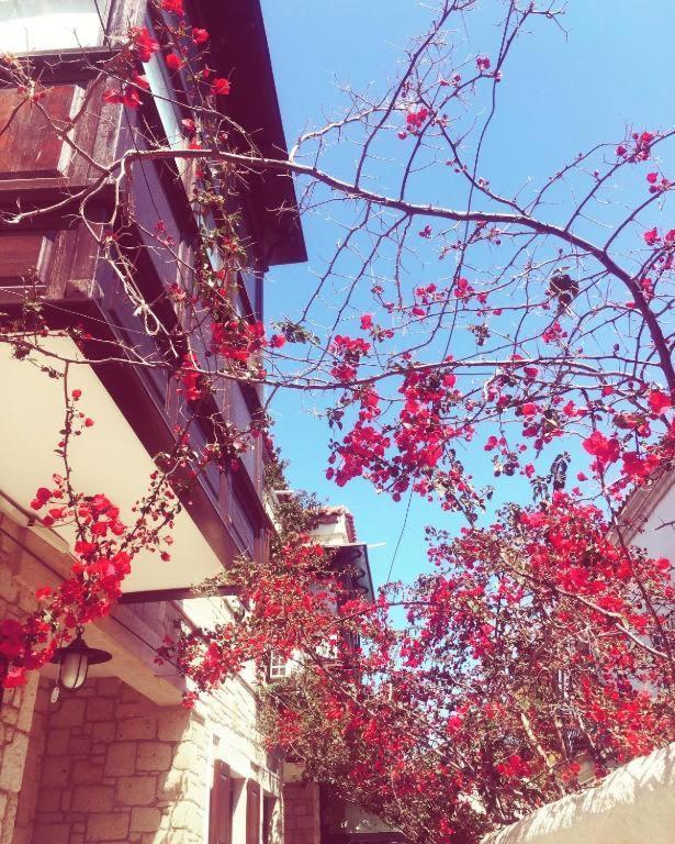 Alayaz Hotel Alacati Exterior photo